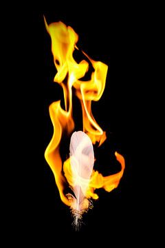 Vuur en vlammen #6 van pixxelmixx