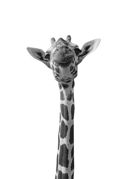 Funny Giraffe by Vicky Hanggara