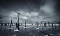 Warten auf das Nordlicht im Palmendorf in Petten
