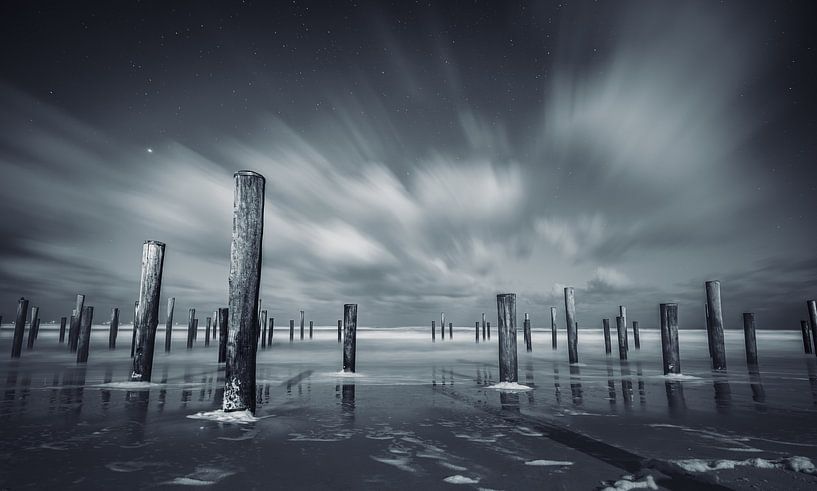 Warten auf das Nordlicht im Palmendorf in Petten von Marco Knies