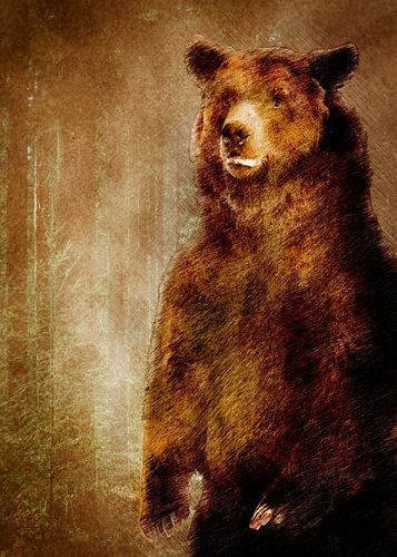 Bear mountain animals #bear