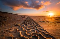 Zandspoor naar de horizon van Niels Barto thumbnail