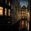 Nacht over de Gracht van Franka Poulain