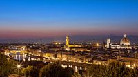 Blick auf Florenz vom Piazzale Michelangelo von Thomas Rieger Miniaturansicht