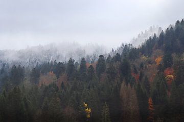 Herfst gaat over in winter, Vogezen, Frankrijk van Imladris Images