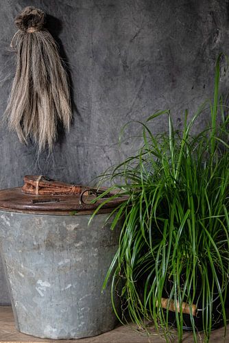 Bucket plant and tuft