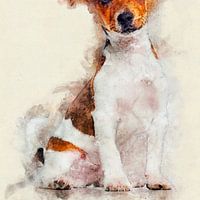 Jackrussel
