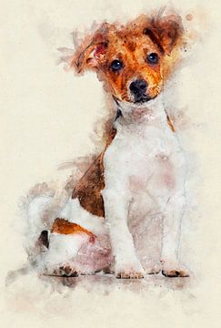 Jack Russell