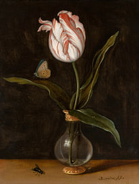 Une tulipe seule dans un vase, Balthasar van der Ast