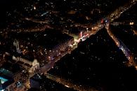 Paris Veins van Maurice Moeliker thumbnail