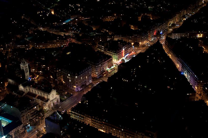 Paris Veins van Maurice Moeliker