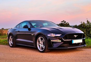 Black Ford Mustang Model 2018 in the sunset