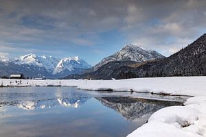 Winterstimmung am Biotop bei Farchant