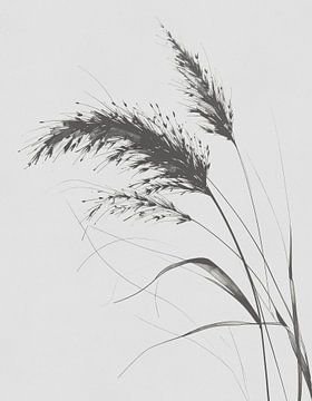 Minimal art - line drawing ornamental grass 03 by Emiel de Lange