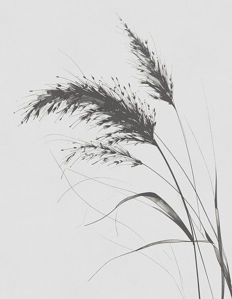 Minimal art - line drawing ornamental grass 03 by Emiel de Lange