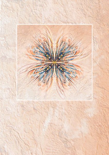 Ornament butterfly by Claudia Gründler
