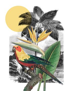 a Tropical Collage 3D by Marja van den Hurk