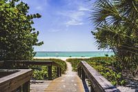 The way to paradise
