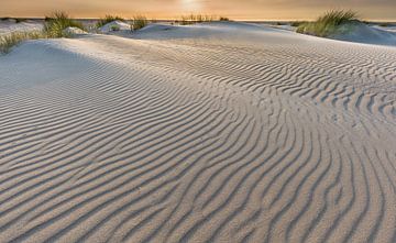 Texelse duinen van Andy Luberti