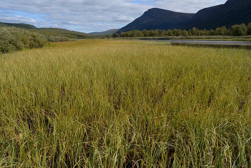 Berglandschap bij Gäddede, Zweden