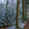 Vijlenerbos avec la première neige sur John Kreukniet