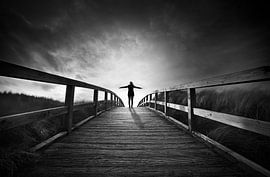 Freedom by Jip van Bodegom