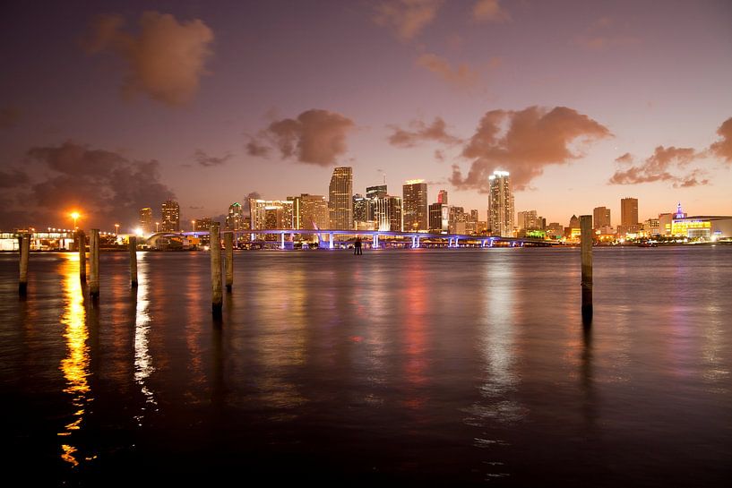 Skyline von Downtown Miami,  Florida von Peter Schickert