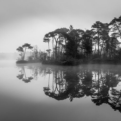 Les Oisterwijkse Bossen et Vennen en noir et blanc