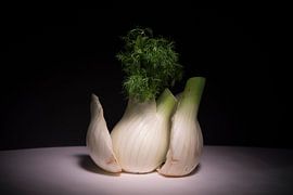 Bolgewas von Cor Visser
