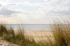 Vervuild – Uitzicht door de duinen van Nina Thilo