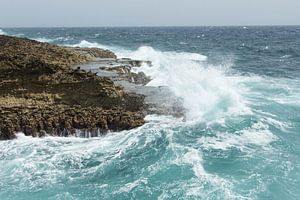 Rotspartij in  Curacao  