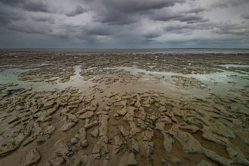 Das Wattenmeer