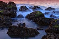 Les vagues se brisent sur les rochers le long de la côte par gaps photography Aperçu
