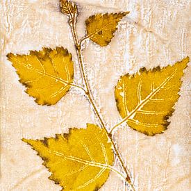 Ecoprint birch by Hanneke Luit