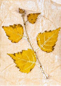 Ecoprint Birke