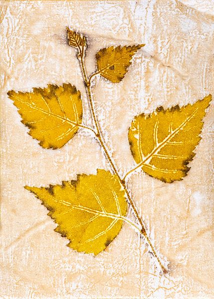 Ecoprint bouleau par Hanneke Luit