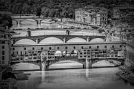 FLORENCE Ponte Vecchio | Monochroom  van Melanie Viola thumbnail