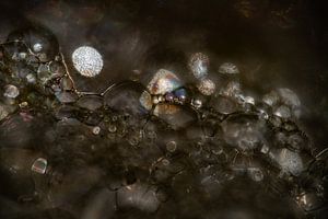 Zeeschuim Kosmos