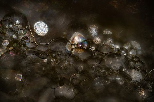Cosmos d'écume de mer