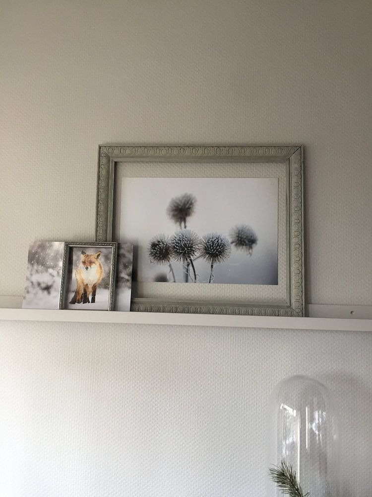 vos in de sneeuw van Pim Leijen