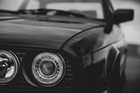 Black Beauty
