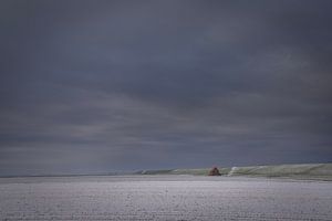 Winterlandschaft in Westernieland, Groningen