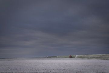 Paysage hivernal dans le Westernieland, Groningue sur Bo Scheeringa Photography