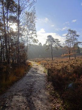 Op de stille heide. van Joke Schippers