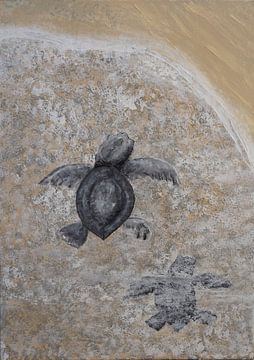 Bahamas Schildpadden van Kristin Adele