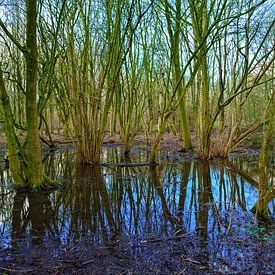 Dordtwijkpark 3 von Kees Visser