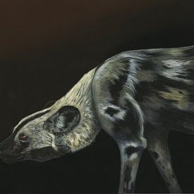 Afrikaanse wilde hond, Lycaon pictus van Helga Pohlen - ThingArt