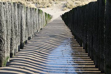 strand met golfbrekers