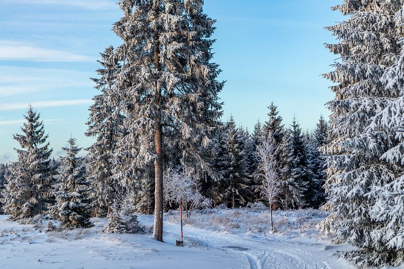 Erste Winterwanderung auf dem Rennsteig von Oliver Hlavaty