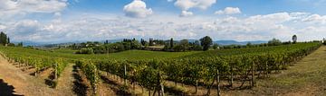 Panoramic view over the vineyards of Tuscany by Robbert De Reus
